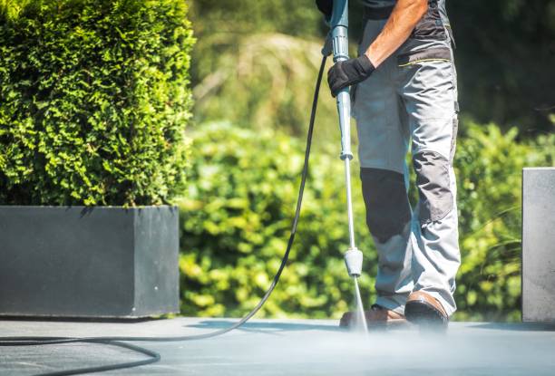 Best Soft Washing for Delicate Surfaces in Gadsden, AL